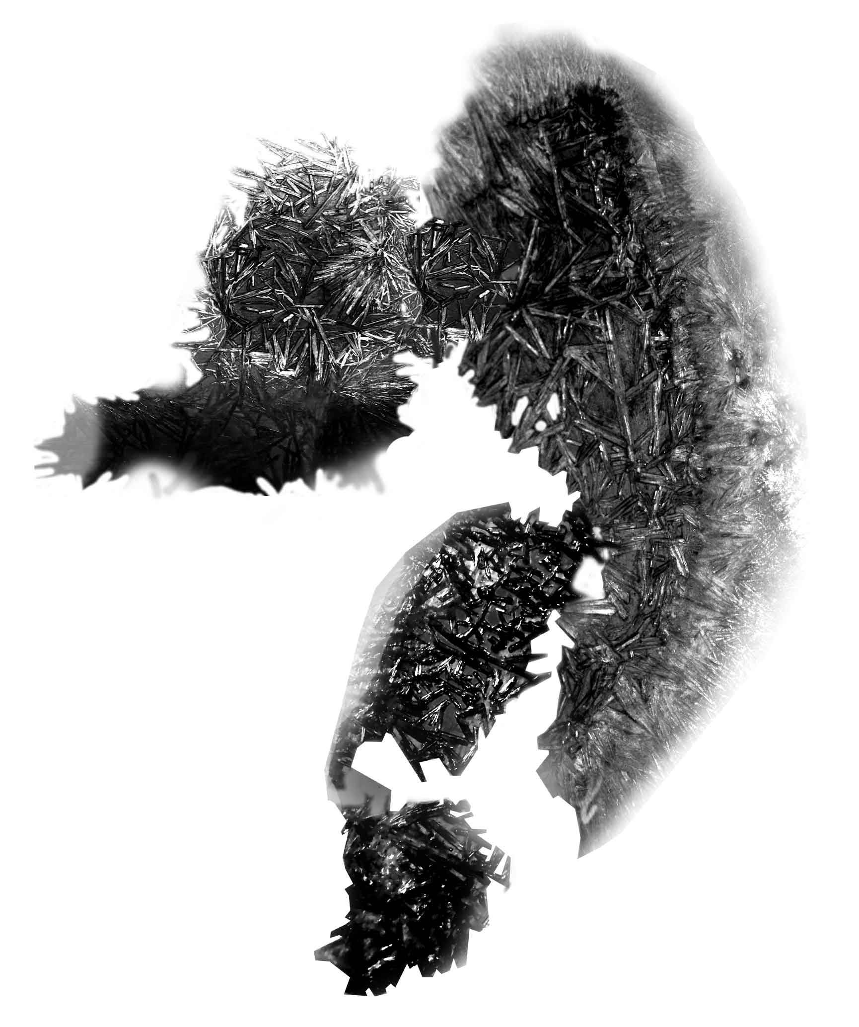 Composed Chemical Image